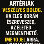 Az eltömődött artériák veszélyes dolog. Ha elég korán észreveszed, az életed megmenthető. Íme 10 jel arra, hogy az artériáid elzáródtak. d03133ad-bfb0-483b-a723-4be662119cbb