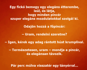 Egy fickó bemegy egy elegáns étterembe, leül, és látja, hogy minden pincér szuper elegáns mozdulatokkal szolgál ki. Egy fickó bemegy egy elegáns étterembe, leül, és látja, hogy minden pincér szuper elegáns mozdulatokkal szolgál ki.