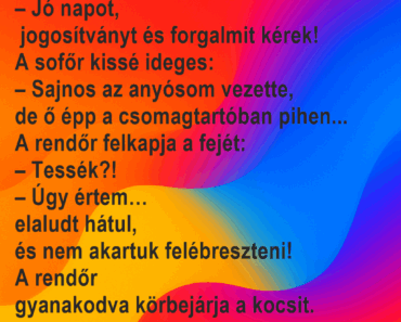 Egy rendőr megállít egy autót: Egy rendőr megállít egy autót: