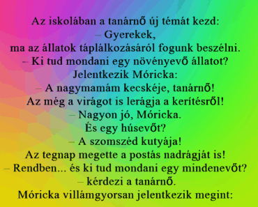 Az iskolában a tanárnő új témát kezd: Az iskolában a tanárnő új témát kezd: