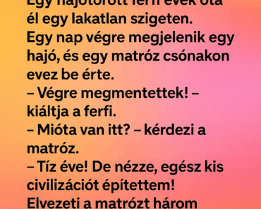 Egy hajótörött férfi évek óta él egy lakatlan szigeten. Egy hajótörött férfi évek óta él egy lakatlan szigeten.