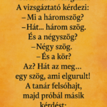 Két rendőr vizsgázik. óőóú