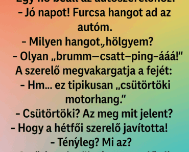 Egy nő beáll az autószerelőhöz: Egy nő beáll az autószerelőhöz: