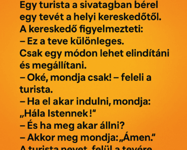 Egy turista a sivatagban bérel egy tevét a helyi kereskedőtől. Egy turista a sivatagban bérel egy tevét a helyi kereskedőtől.