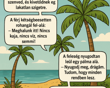 Egy házaspár hajótörést szenved, és kivetődnek egy lakatlan szigetre. Egy házaspár hajótörést szenved, és kivetődnek egy lakatlan szigetre.