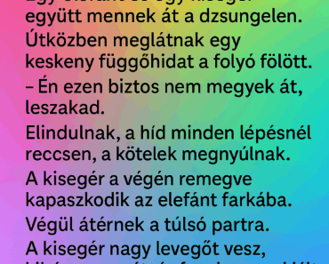 Egy elefánt és egy kisegér együtt mennek át a dzsungelen.