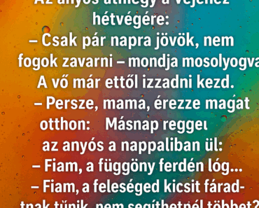Az anyós átmegy a vejéhez hétvégére. Az anyós átmegy a vejéhez hétvégére.