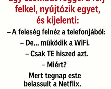 Vicc: 🧔 „A férj, aki eldöntötte, hogy ő bizony megjavítja a WiFit”