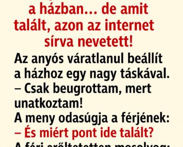 Az anyós csak körbenézett a házban… de amit talált, azon az internet sírva nevetett!