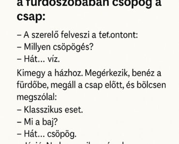 Vicc: A vízvezeték-szerelő, aki szerint minden hibát a gravitáció okoz