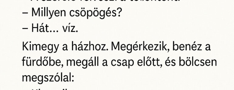 Vicc: A vízvezeték-szerelő, aki szerint minden hibát a gravitáció okoz