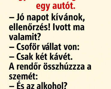 VICC: A rendőr kérdezett egy ártatlannak tűnőt… a sofőr válaszán az egész net fetrengett!