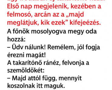 Vicc: „A takarítónő, aki túl őszinte volt a főnökéhez”