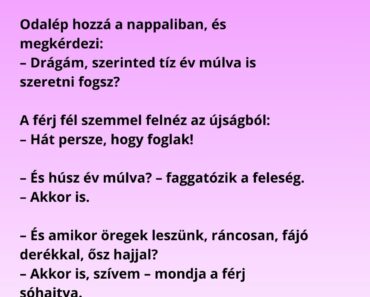 Egy házaspár már húsz éve él együtt, és a feleség egy nap úgy dönt, Egy házaspár már húsz éve él együtt, és a feleség egy nap úgy dönt,
