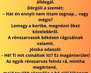 Józska egy téli reggelen kinéz az ablakon, és látja, hogy a kertjében három rénszarvas álldogál. Józska egy téli reggelen kinéz az ablakon, és látja, hogy a kertjében három rénszarvas álldogál.