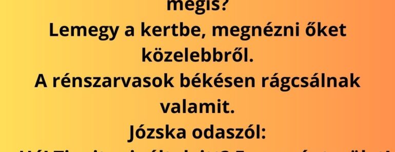 Józska egy téli reggelen kinéz az ablakon, és látja, hogy a kertjében három rénszarvas álldogál.