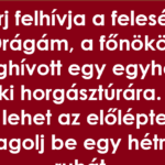 VICC: A férj felhívja a feleségét Keep-this-1-plant-at-home-and-forget-about-spiders-mice-and-insects-pic-in-cmt-2025-05-25T134355.502