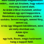 Képernyőkép 2025-11-29 132154