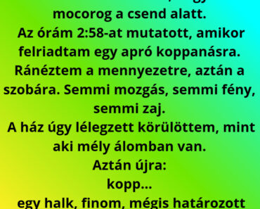 A hajnali koppanás – Egy emlék, ami visszatért