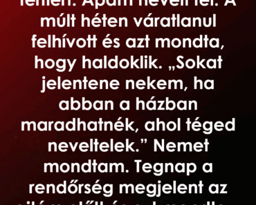 11 évesen elhagyott, évekkel később az utolsó üzenete mindent megváltoztatott