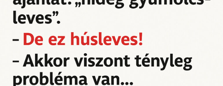 VICC: 🧑‍🍳 „A szakács és a vendég”
