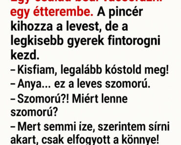 Vicc: „A szakács és a nagyon őszinte gyerek” Vicc: „A szakács és a nagyon őszinte gyerek”