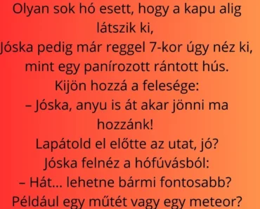 Egy hatalmas hóvihar után a vejének – Jóskának – ki kell lapátolnia a ház előtti járdát. Egy hatalmas hóvihar után a vejének – Jóskának – ki kell lapátolnia a ház előtti járdát.