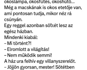 Vicc: A villanyszerelő és a ház, ami túl okos volt