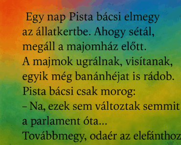 Egy nap Pista bácsi elmegy az állatkertbe. Egy nap Pista bácsi elmegy az állatkertbe.