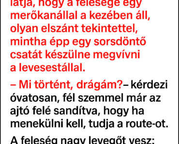 A férj azt hitte, semmi baj nem történhet… de amit a felesége a konyhában művelt, az az egész internetet ledöbbentette!