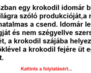 Cirkuszban egy krokodil idomár bemutatja világra szóló produkcióját