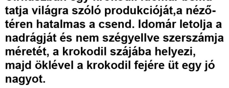 Cirkuszban egy krokodil idomár bemutatja világra szóló produkcióját