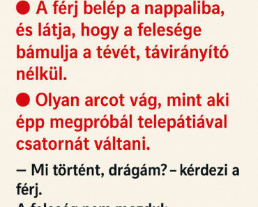 A férj belép a nappaliba, és látja, hogy a felesége bámulja a tévét, távirányító nélkül. Olyan arcot vág, mint aki épp megpróbál telepátiával csatornát váltani.