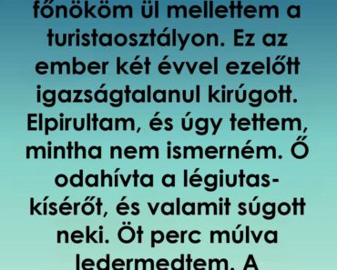 Kirúgott a főnököm, két évvel később egy repülőúton megváltoztatta az életem