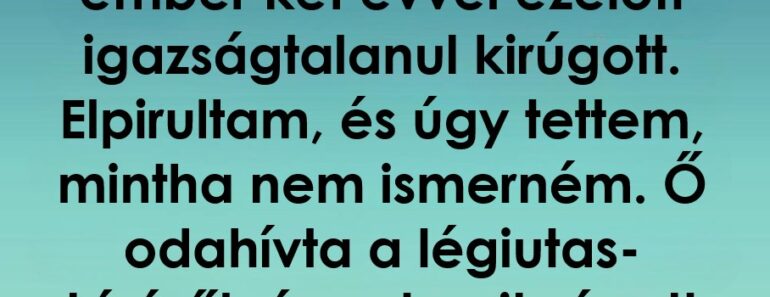 Kirúgott a főnököm, két évvel később egy repülőúton megváltoztatta az életem