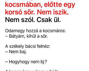 A Székely Bácsi Egy Óráig Nézte A Sörét… Amikor Megszólalt, A Kocsmában Mindenki Elhallgatott A Székely Bácsi Egy Óráig Nézte A Sörét… Amikor Megszólalt, A Kocsmában Mindenki Elhallgatott