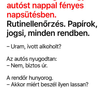 A Rendőr Csak Egy Egyszerű Kérdést Tett Fel… Az Autós Válasza Után Egy Pillanatig Ő Is Elgondolkodott