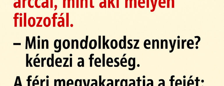 A feleség este belép a nappaliba, és látja, hogy a férje a kanapén ül, olyan arccal, mint aki mélyen filozofál.