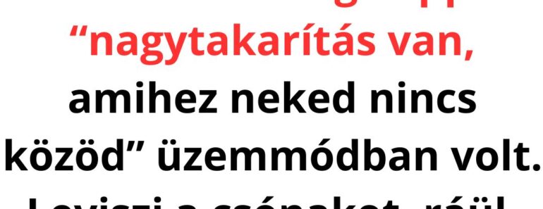 A CSÓNAK, A SZÉKELY, MEG A “MODERN TECHNOLÓGIA”