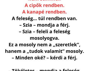 A feleség túl nyugodt volt… és amikor kimondta az utolsó mondatot, a férj mindent megértett 😳🔥