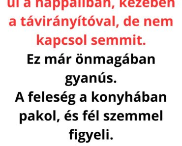A feleség A férj egy este csendben ül a nappaliban, kezében a távirányítóval, de nem kapcsol semmit. Ez már önmagában gyanús. A feleség a konyhában pakol, és fél szemmel figyeli. – Te… minden rendben? ár a legrosszabbra készült… de a férj utolsó mondata mindent vitt…
