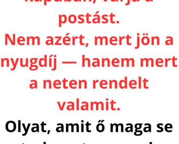 VICC: A POSTÁS, A NAGYMAMA ÉS A “GYANÚS” CSOMAG