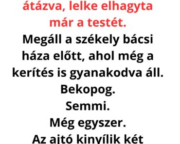 A postás azt hitte, sima kézbesítés lesz… de a székely utolsó mondata után megértette, mi az IGAZI életbiztosítás 😳🔥