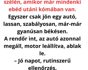 A rendőr csak egy rutinvizsgálatot akart… de amikor megszólalt az autós, mindenki lefagyott 😳🚔