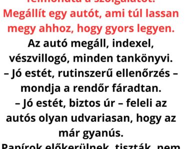 A rendőr csak meg akarta állítani… de amit az autós mondott, azzal véget ért az egész műszak 🚨😳