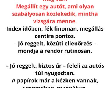 A rendőr csak egy rutinvizsgálatot akart… de az utolsó mondatnál lefagyott a rendszer 😳🚓