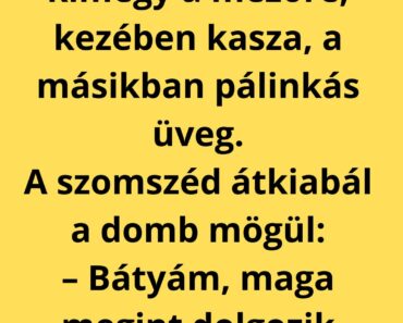 A székely bácsi kimegy a mezőre, kezében kasza, a másikban pálinkás üveg. A szomszéd átkiabál a domb mögül: