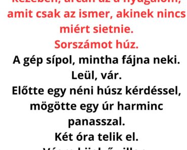 A bankban mindenki csak nézett… de a székely utolsó mondata után leesett, mi a legolcsóbb életbiztosítás 😳🔥