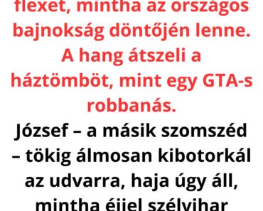 VICC: A SZOMSZÉD, A FLEX ÉS A „KOMMUNIKÁCIÓ” MŰVÉSZETE