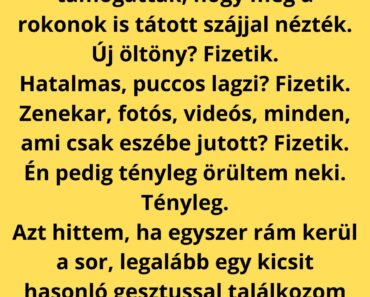A bátyámnak mindent megadtak, nekem meg morzsát – de amit az esküvőmön láttak, arra senki sem volt felkészülve